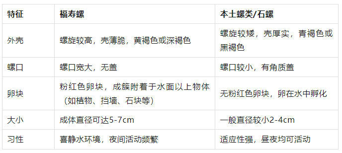 微信图片