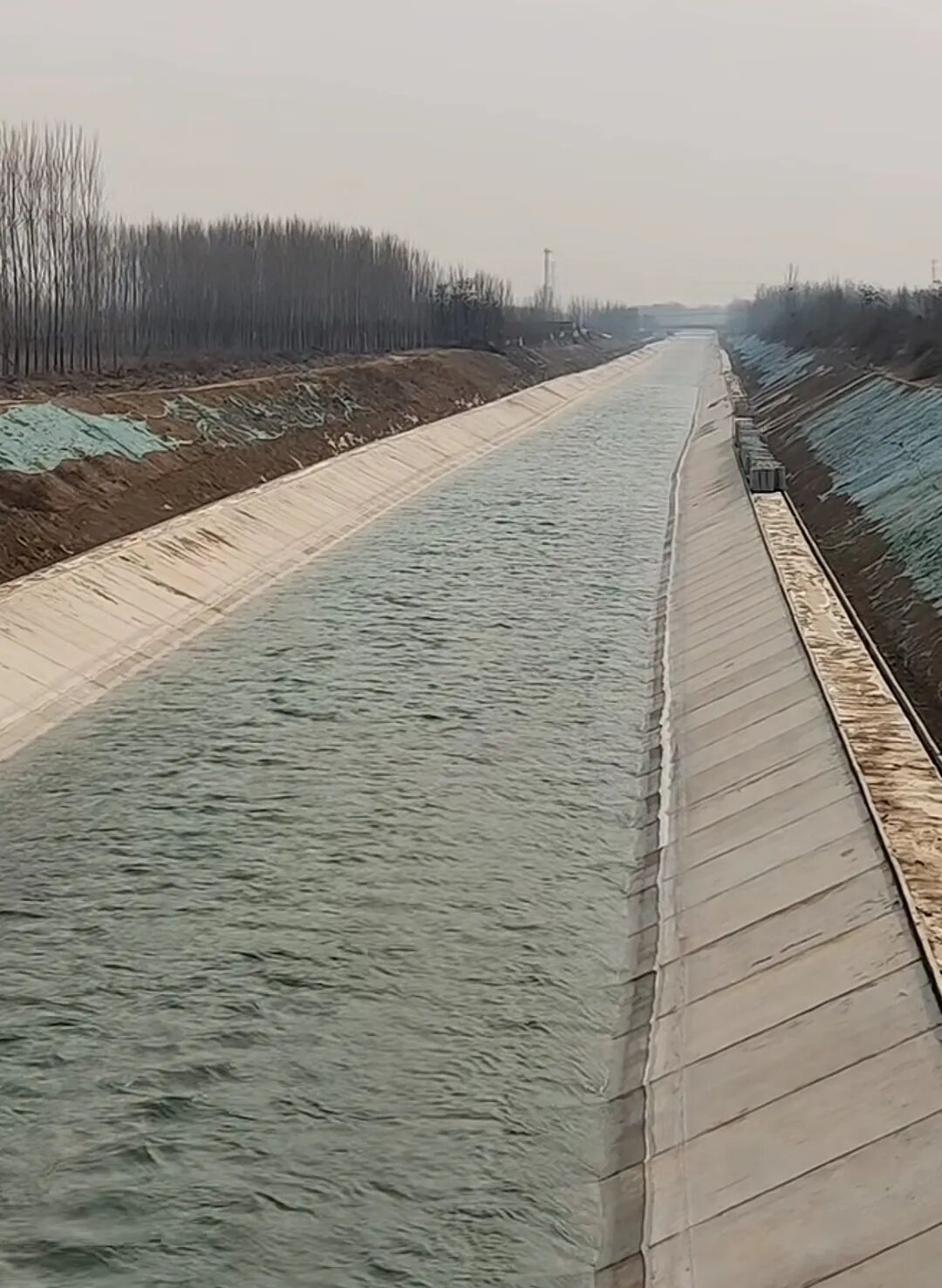 微信图片