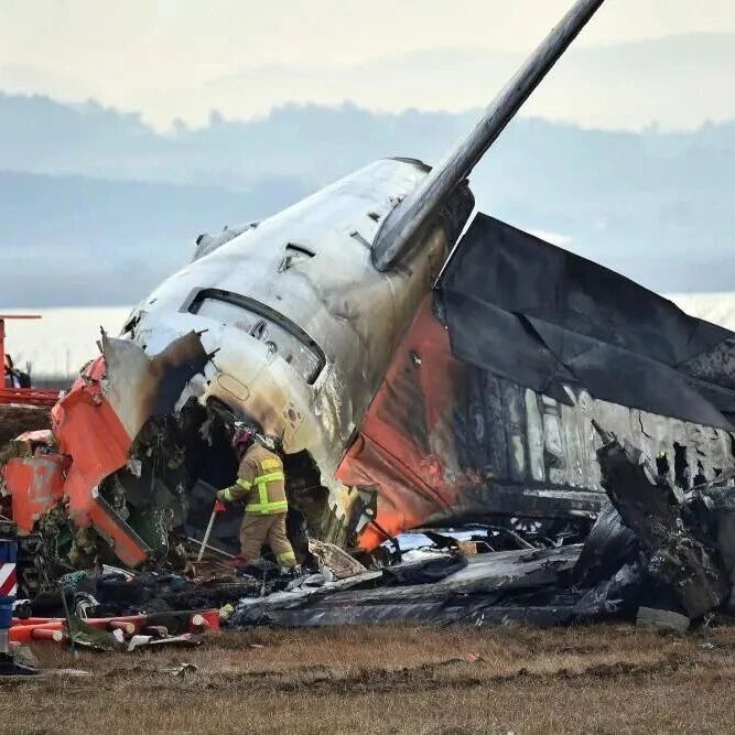 韩国致179死空难已过去一年多，部分遇难者遗骸仍未得到妥善安置，多名官员受处分；此前“部分遗骸和飞机残骸被混放在无遮挡的空地上”-嗨新闻