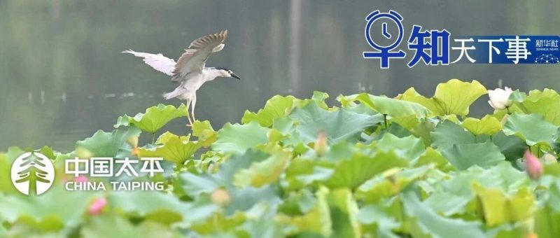 早知天下事〔2026.05.11〕-嗨新闻