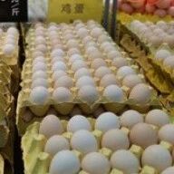 鸡蛋价格，强势上涨-嗨新闻