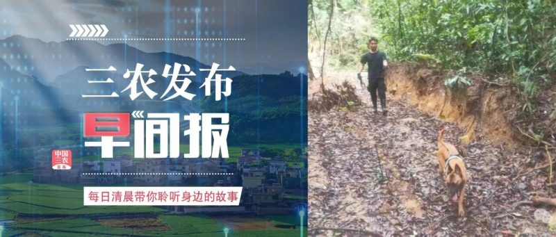 广东一男童深山走失13天，1000多人次搜山，最终警犬在距走失地8公里处找到；火星从天花板掉落，200多件衣服被烧，监控拍下全程｜来听新闻-嗨新闻