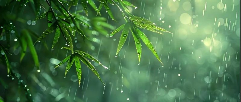 中雨到大雨→暴雨！暴雨黄色预警发布，注意防范 | 预警-嗨新闻