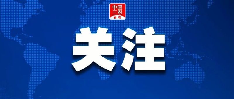 104名优秀科级干部，到乡镇（街道）挂职副书记或副镇长-嗨新闻