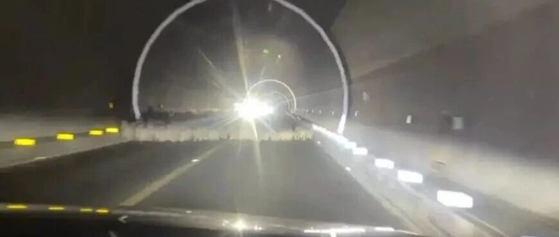 女子在新疆一隧道撞倒29只羊，交警：司机负全责，该隧道属于法定牧道-嗨新闻